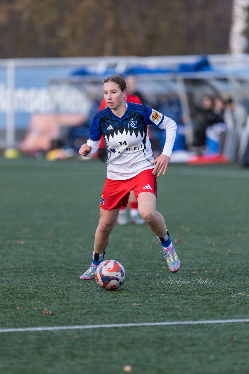 Bild 376 - wBJ Hamburger SV - Holstein Kiel : Ergebnis: 8:0